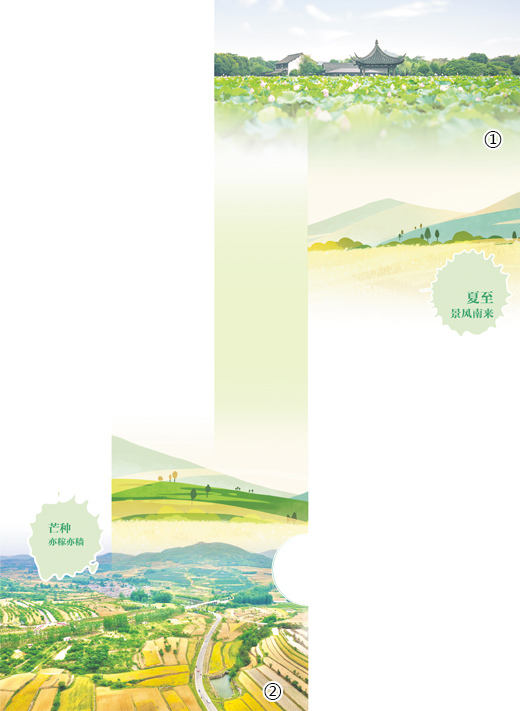 梅熟麥飯香仲夏農(nóng)事忙(二十四節(jié)氣)