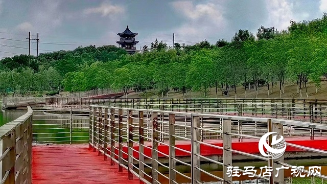 雨后的濱河公園