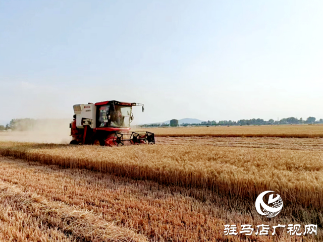 疫情防控不松勁 農(nóng)業(yè)生產(chǎn)不誤時