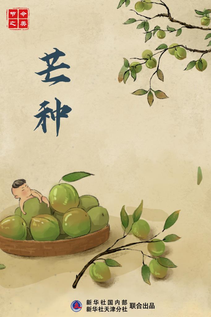 6日零時(shí)26分芒種：仲夏至此始 處處菱歌長