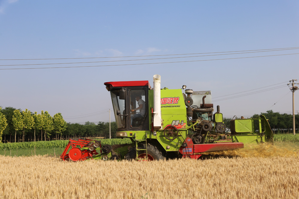 中國決戰(zhàn)夏收 端牢“飯碗”更添底氣