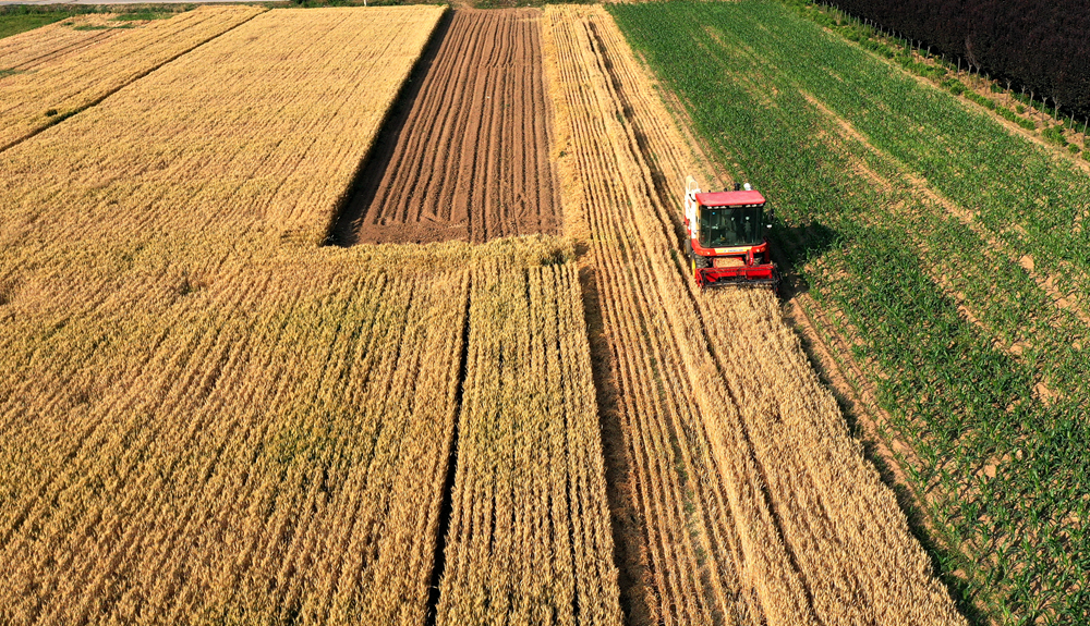 中國決戰(zhàn)夏收 端牢“飯碗”更添底氣