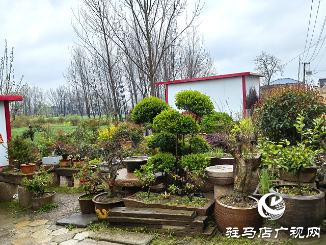 上蔡縣大路李鄉(xiāng)：強“本手”、創(chuàng)“妙手”、減“俗手”助力人居環(huán)境大嬗變