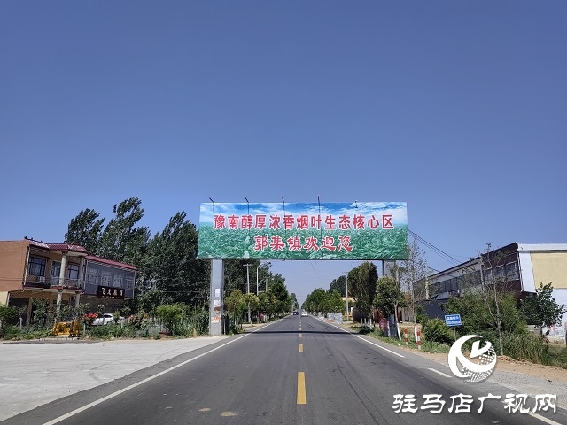 河南泌陽(yáng)郭集鎮(zhèn)：綠葉變“金葉”點(diǎn)“燃”鄉(xiāng)村產(chǎn)業(yè)振興
