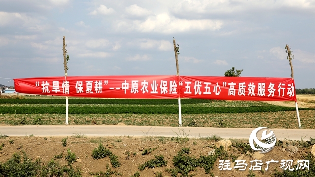 23套抗旱設(shè)備！這家公司向泰山廟鎮(zhèn)捐贈“及時雨”