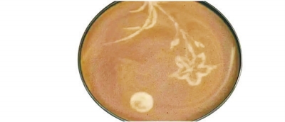 《夢(mèng)華錄》火了礬樓、飛錢、茶百戲……你可知在哪？都是啥？