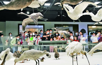 從延長開放時間到全天開放——24小時博物館，城市夜生活新地標