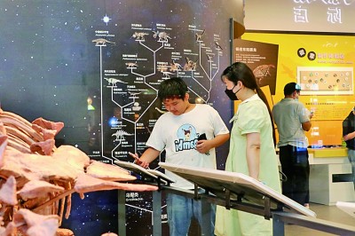 從延長開放時間到全天開放——24小時博物館，城市夜生活新地標