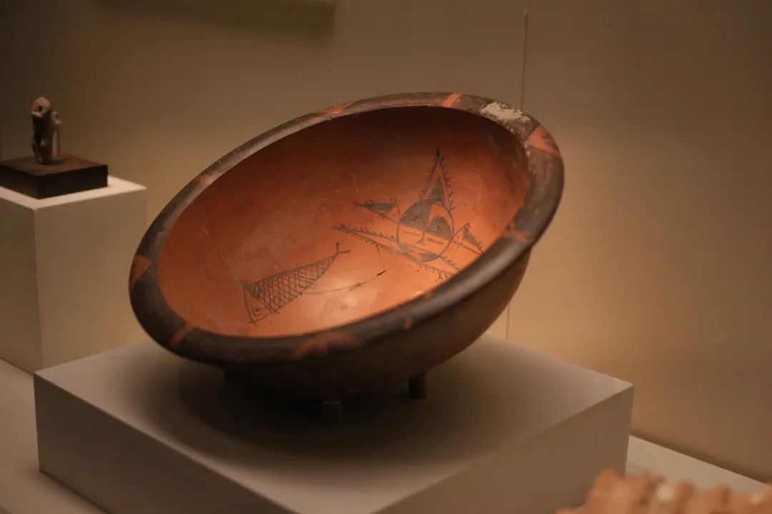 “中國”從哪里來？