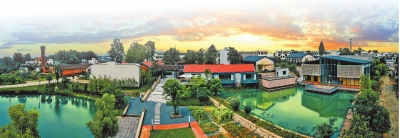 河南省試點(diǎn)“文化產(chǎn)業(yè)特派員”制度賦能鄉(xiāng)村振興 文化產(chǎn)業(yè)“豫”見鄉(xiāng)村