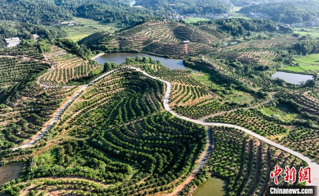 陳來：中國文化為何能為生態(tài)文明提供理念基礎(chǔ)？