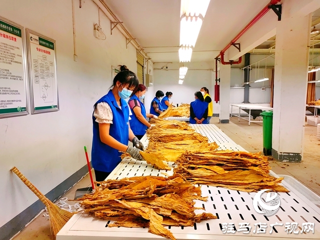 郭集煙站今日開磅