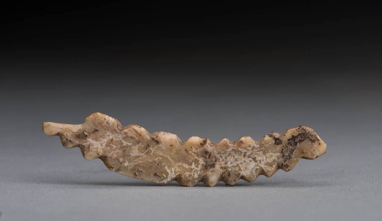 中國(guó)故事｜文物里的黃河文化