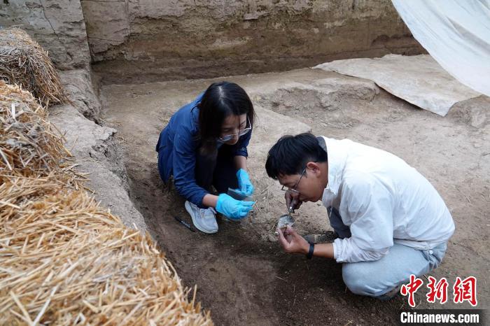 探訪仰韶晚期南佐遺址：考古發(fā)掘研究還有多少待解之謎？