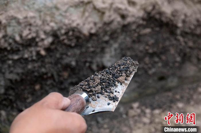 探訪仰韶晚期南佐遺址：考古發(fā)掘研究還有多少待解之謎？