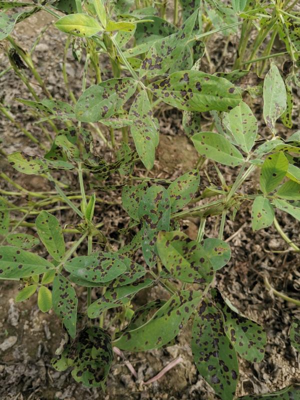 白露話農(nóng)耕：露從今夜白 你準(zhǔn)備好踏秋了嗎？