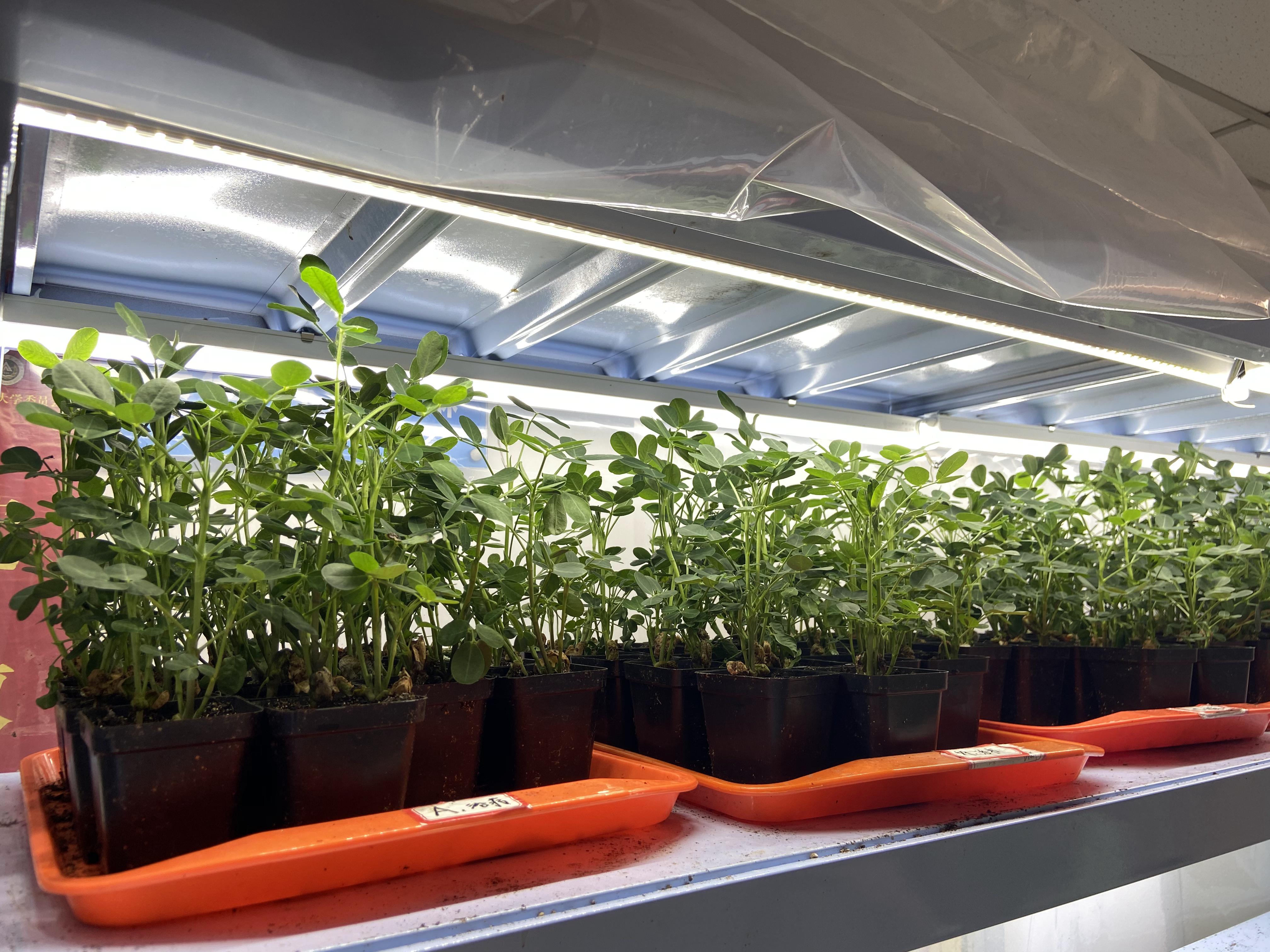 白露話農(nóng)耕：露從今夜白 你準(zhǔn)備好踏秋了嗎？