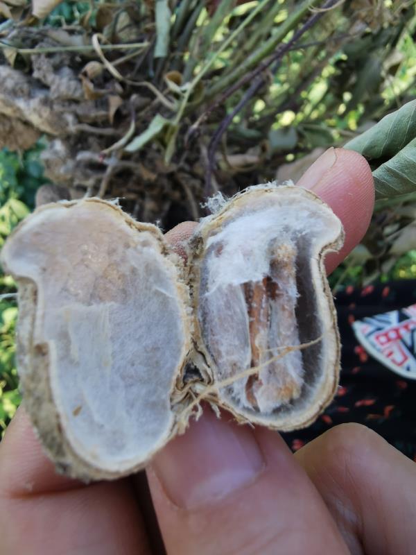 白露話農(nóng)耕：露從今夜白 你準(zhǔn)備好踏秋了嗎？