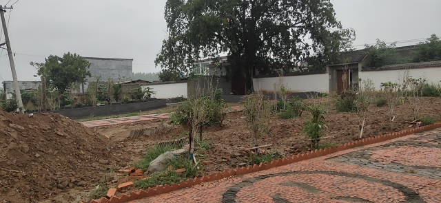 西平縣嫘祖鎮(zhèn):歷史文化厚重久遠 “董橋符號”源遠流長