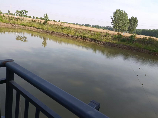 西平縣嫘祖鎮(zhèn):歷史文化厚重久遠 “董橋符號”源遠流長