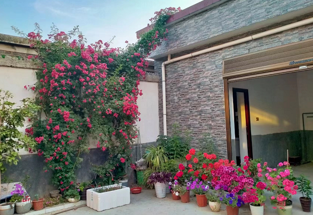 西平縣嫘祖鎮(zhèn):歷史文化厚重久遠 “董橋符號”源遠流長