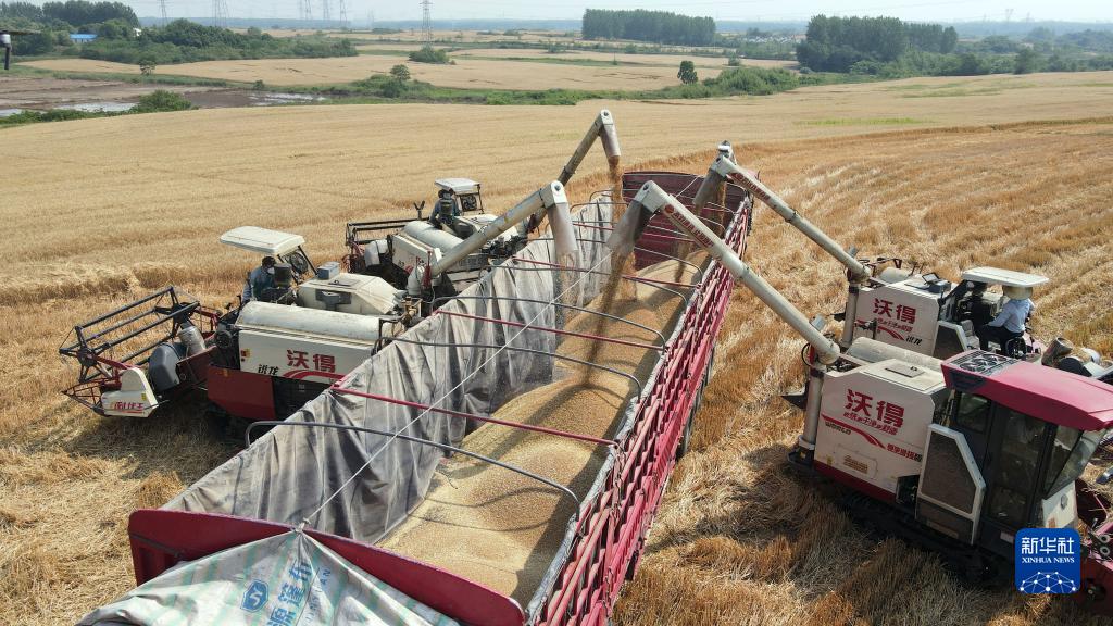 牢牢把住糧食安全主動(dòng)權(quán)&mdash;&mdash;以習(xí)近平同志為核心的黨中央帶領(lǐng)人民干好這件頭等大事