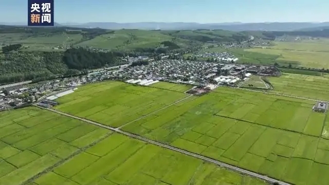 經(jīng)受多重考驗 我國如何實現(xiàn)糧食穩(wěn)產(chǎn)豐收？