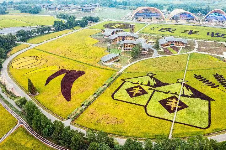 新華全媒+丨喜看豐景溢芳香——第五個中國農民豐收節(jié)各地掃描