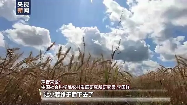 經(jīng)受多重考驗 我國如何實現(xiàn)糧食穩(wěn)產(chǎn)豐收？