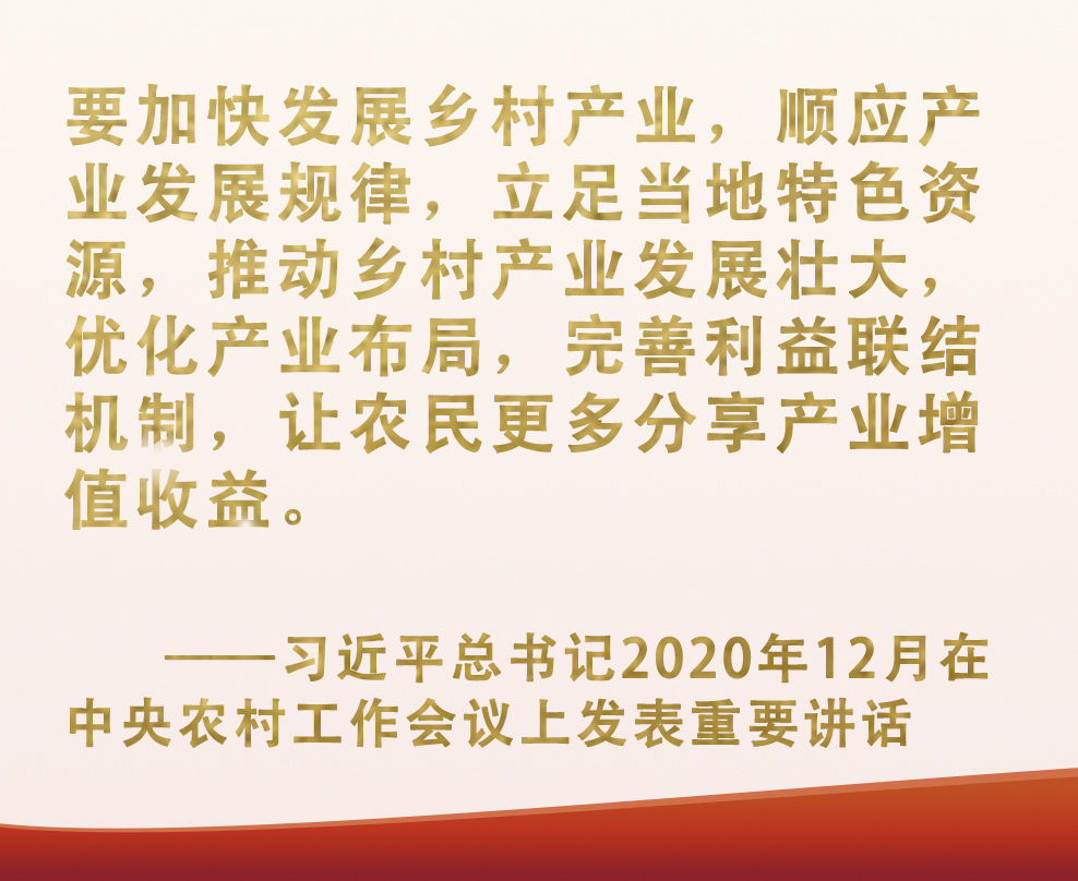 總書記掛念的“關(guān)鍵小事”丨讓“小作物”成為助力脫貧致富的“大產(chǎn)業(yè)”