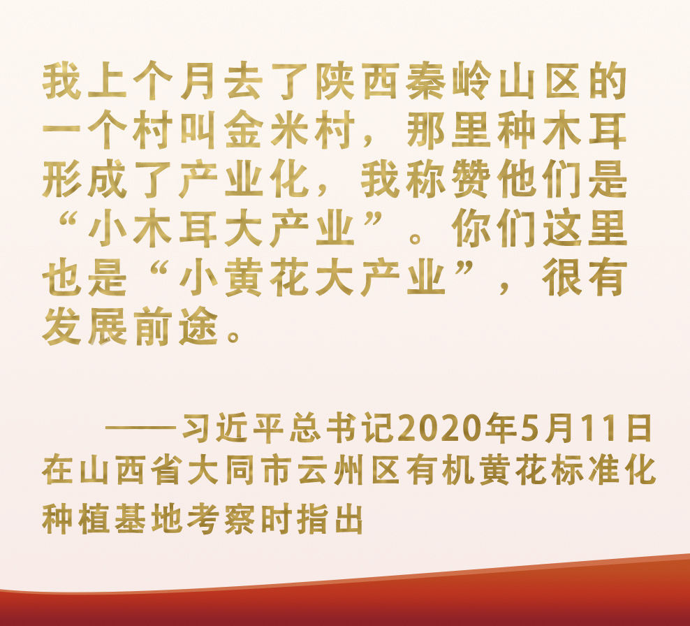 總書記掛念的“關(guān)鍵小事”丨讓“小作物”成為助力脫貧致富的“大產(chǎn)業(yè)”