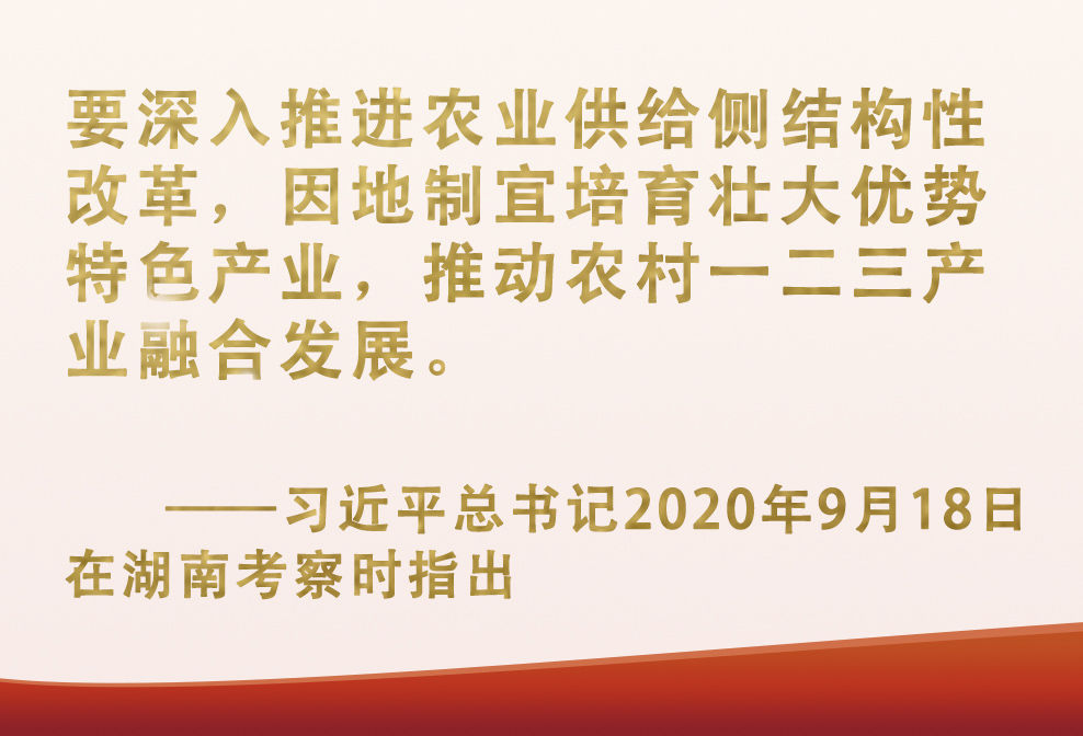 總書記掛念的“關(guān)鍵小事”丨讓“小作物”成為助力脫貧致富的“大產(chǎn)業(yè)”
