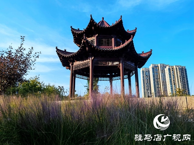駐馬店市區(qū)秋日美景如畫(huà)