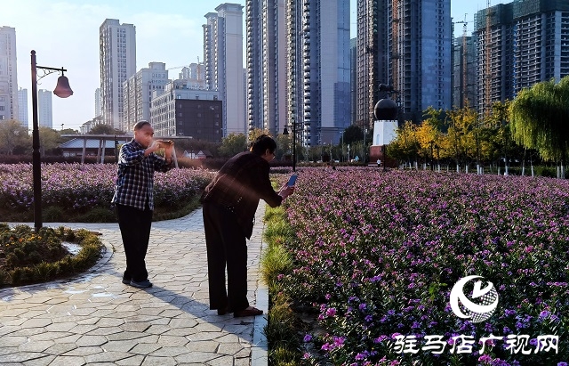 駐馬店市區(qū)秋日美景如畫(huà)