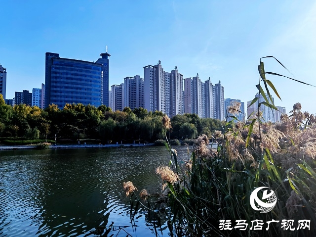 駐馬店市區(qū)秋日美景如畫(huà)