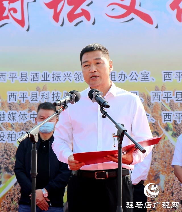 豫坡酒業(yè):高粱喜豐收 好糧釀好酒