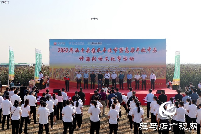 豫坡酒業(yè):高粱喜豐收 好糧釀好酒