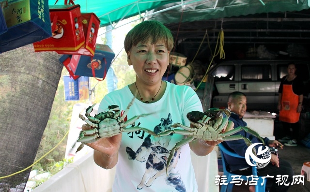 駐馬店：秋起蟹兒肥 正是吃蟹好時(shí)節(jié)