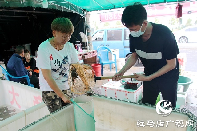 駐馬店：秋起蟹兒肥 正是吃蟹好時(shí)節(jié)