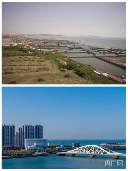 【大時(shí)代】青島：向海圖強(qiáng)筑夢(mèng)深藍(lán)天地闊 科技引領(lǐng)陸海統(tǒng)籌奮楫行