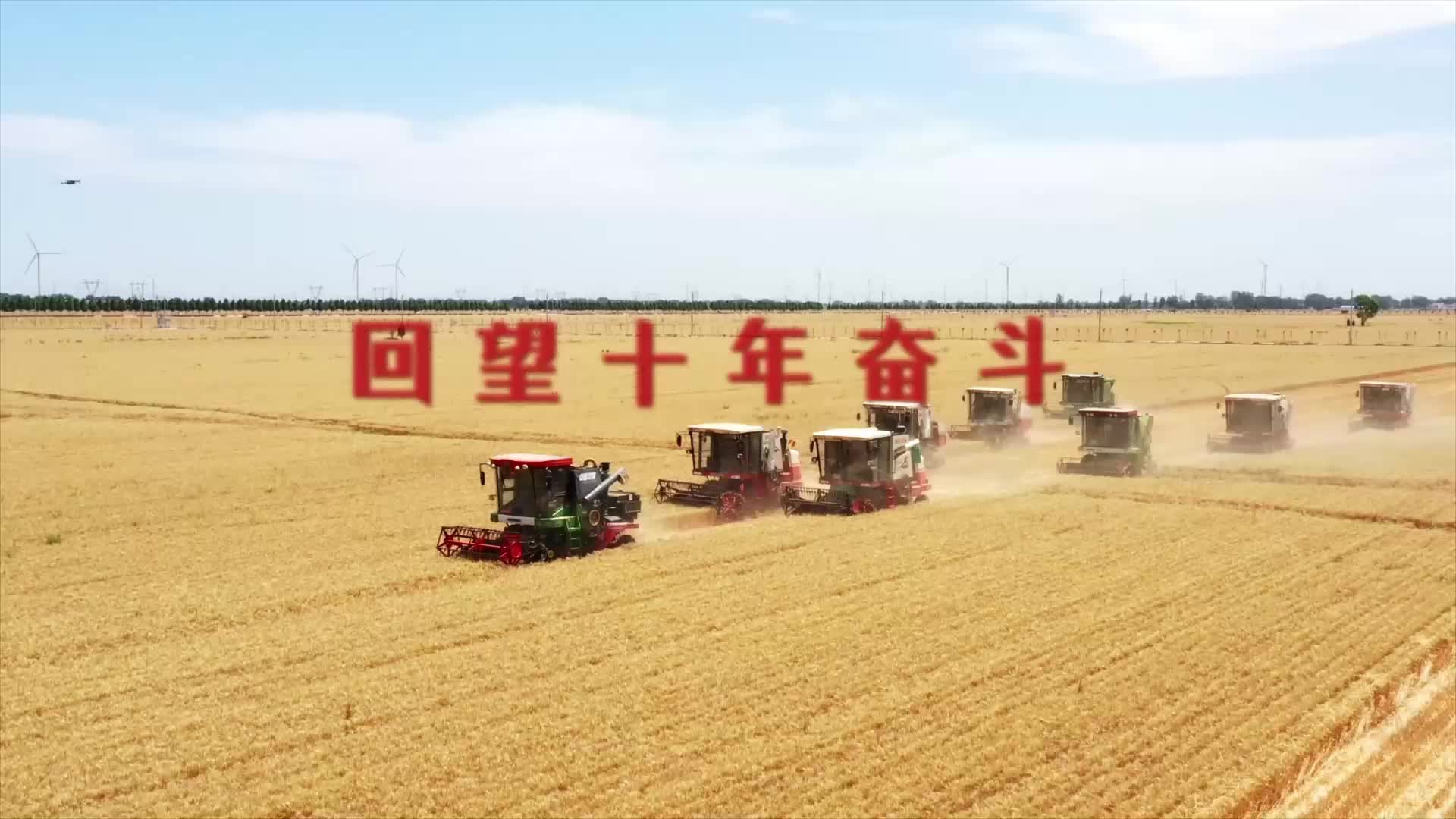 【大時(shí)代】青島：向海圖強(qiáng)筑夢(mèng)深藍(lán)天地闊 科技引領(lǐng)陸海統(tǒng)籌奮楫行