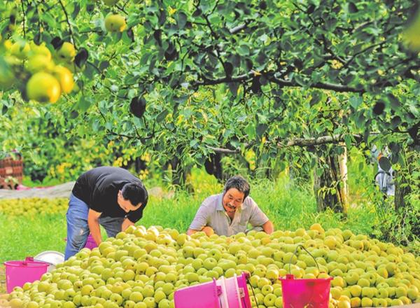黃金周的N種打開方式丨多彩金秋 采擷美好
