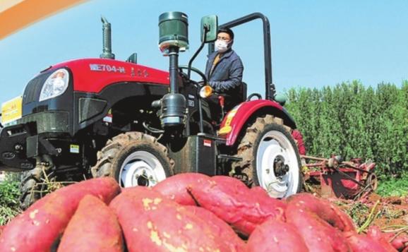 黃金周的N種打開方式丨多彩金秋 采擷美好