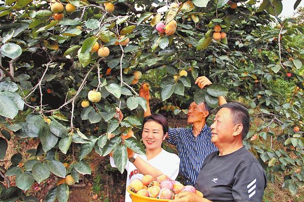 黃金周的N種打開方式丨多彩金秋 采擷美好