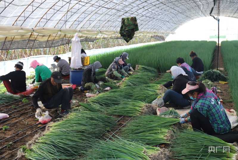 【大時(shí)代】長春：現(xiàn)代農(nóng)業(yè)擦亮“糧食芯片” 科技創(chuàng)新驅(qū)動(dòng)“汽車強(qiáng)國”