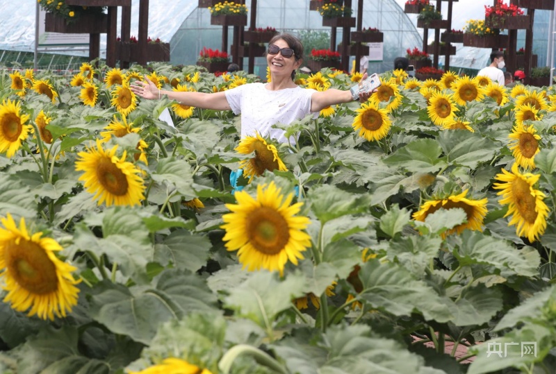 【大時(shí)代】長春：現(xiàn)代農(nóng)業(yè)擦亮“糧食芯片” 科技創(chuàng)新驅(qū)動(dòng)“汽車強(qiáng)國”