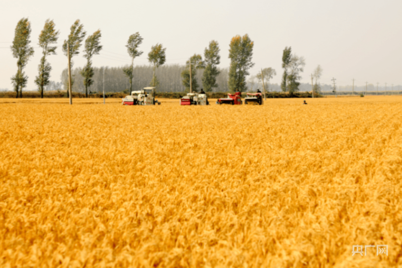 【大時(shí)代】長春：現(xiàn)代農(nóng)業(yè)擦亮“糧食芯片” 科技創(chuàng)新驅(qū)動(dòng)“汽車強(qiáng)國”