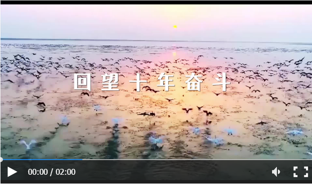 央視.png