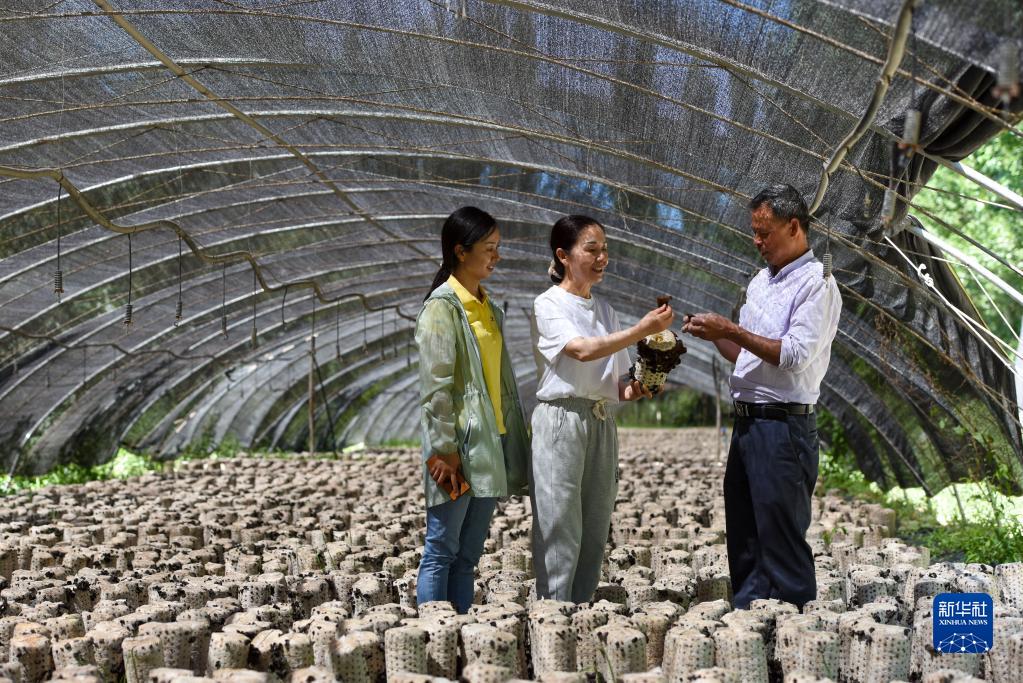 咬定青山不放松——黨的十九大以來以習(xí)近平同志為核心的黨中央貫徹執(zhí)行中央八項(xiàng)規(guī)定、推進(jìn)作風(fēng)建設(shè)綜述