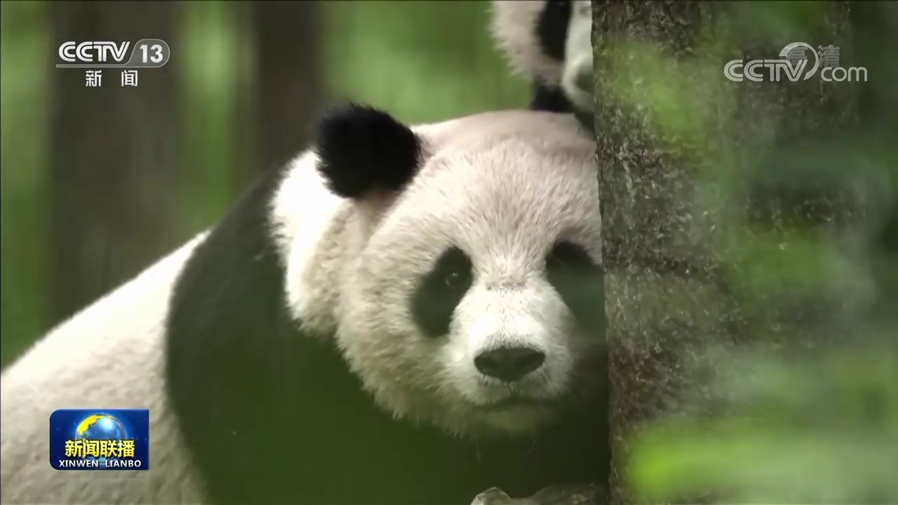 偉大復(fù)興 壯麗航程 | 開(kāi)啟人與自然和諧共生的現(xiàn)代化新征程